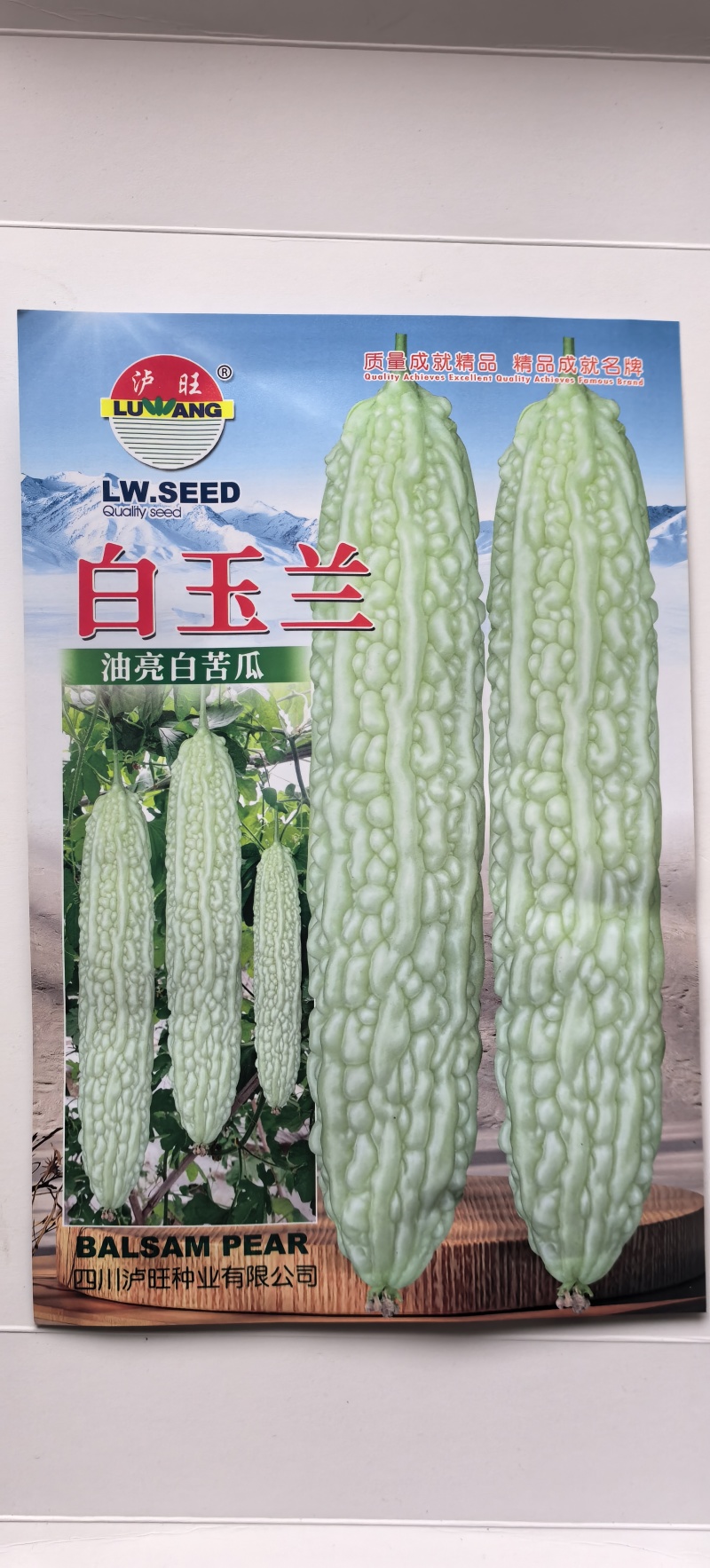 苦瓜种子白玉兰绿白色中长油亮瓜条顺直结瓜早产量高