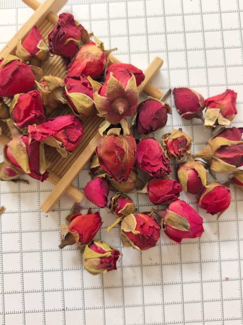 月季花山东月季花中药材月季花可茶用