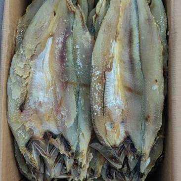 断货王香梭鱼片，开背去内脏的一款咸鱼干，蒸煎炸都好吃