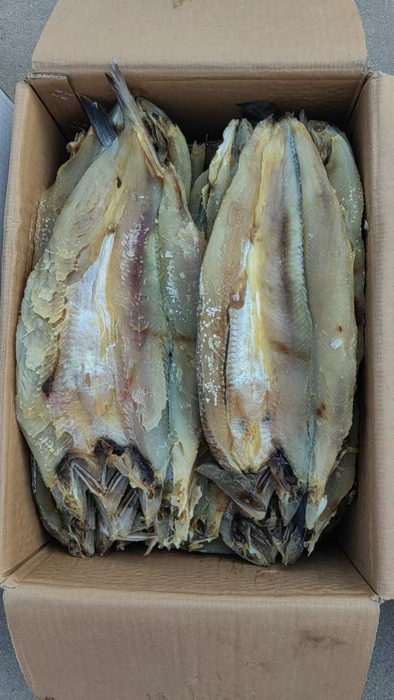 断货王香梭鱼片，开背去内脏的一款咸鱼干，蒸煎炸都好吃