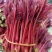 香椿芽，适合发单件，希望有一个长期合作的老板