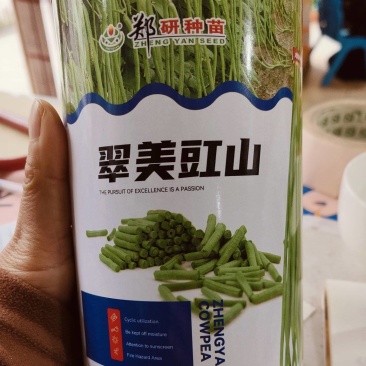 中早熟翠绿条长豆角种子翠美豇山肉质厚嫩荚条长不鼓粒采收期