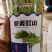 中早熟翠绿条长豆角种子翠美豇山肉质厚嫩荚条长不鼓粒采收期