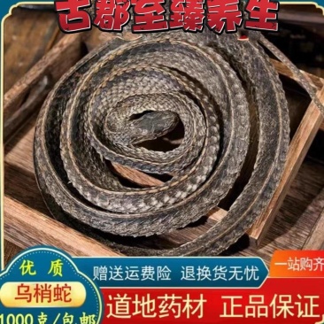 包邮）乌梢蛇中药材老乌蛇干乌梢蛇完整大条无内脏泡酒料