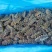 即食海参，不是圈养的，懂得都懂！质量好！