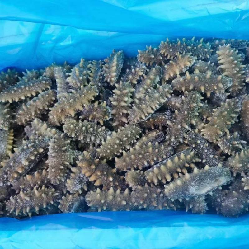 即食海参，不是圈养的，懂得都懂！质量好！
