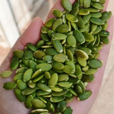 新疆无壳南瓜子仁免剥净重颗粒批发原味无油无糖无盐坚果炒货