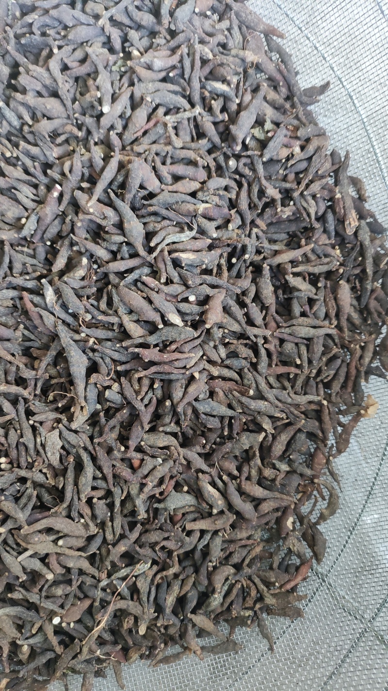 两头尖中药材两头尖野生正品无硫品质保证