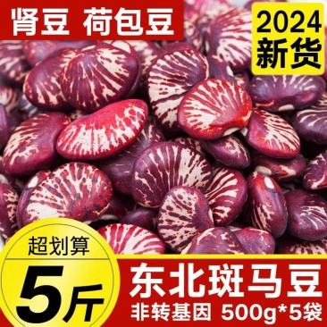 包邮）东北斑马豆24年农家新货肾豆小荷包状元豆紫花芸豆类