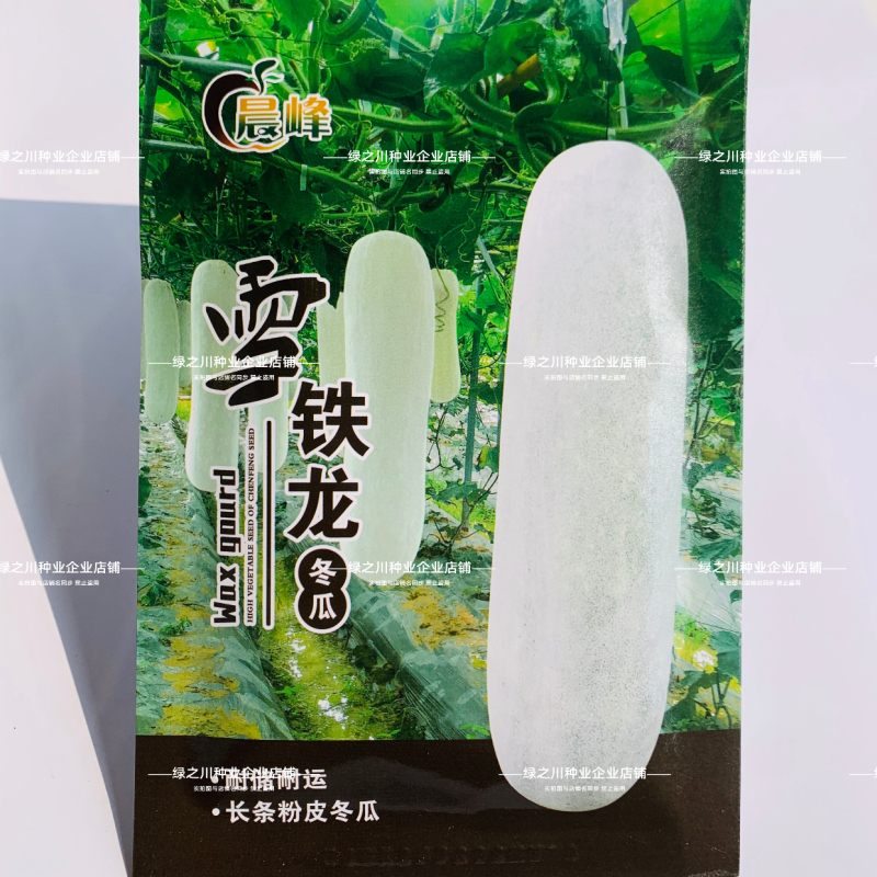 特大粉皮冬瓜种子雪铁龙冬瓜种子长条炮弹形大冬瓜种籽高产瓜