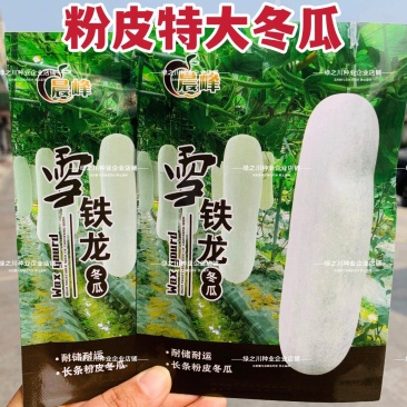 特大粉皮冬瓜种子雪铁龙冬瓜种子长条炮弹形大冬瓜种籽高产瓜