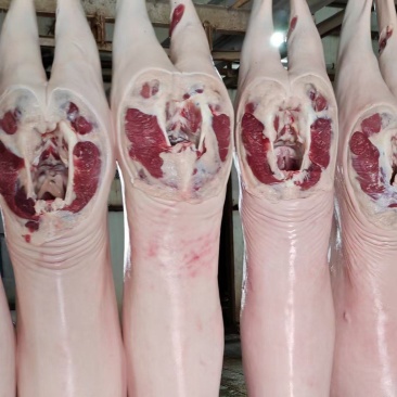 羊肉新鲜带皮羊肉精修去油净腔源头厂家直销一只起发