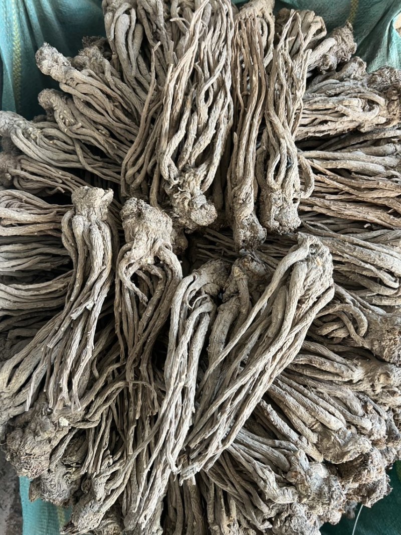 岷当归，自产自销，无硫，无假
