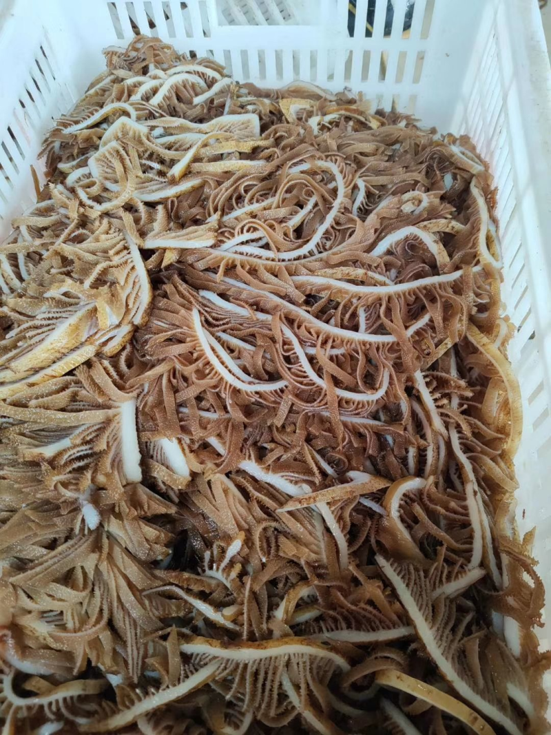本色黑千/千层肚/黑千层肚/牛百叶/黑百叶/厂家常年批发