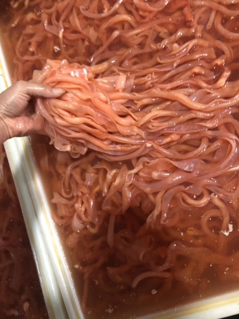 鸭肠/水发鸭肠/免洗鸭肠/厂家直发/常年供应/招代理商