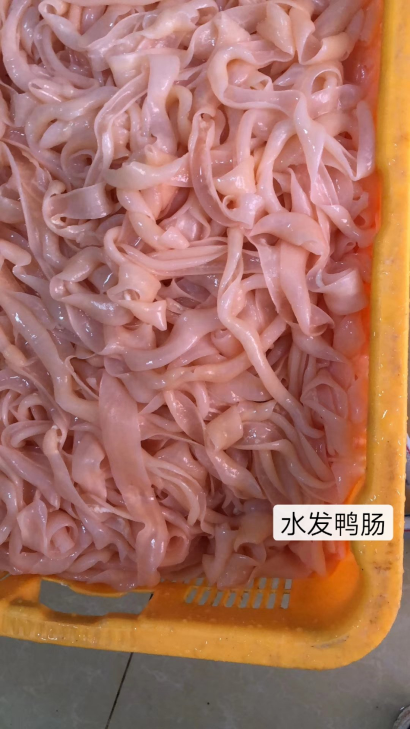 鸭肠/水发鸭肠/免洗鸭肠/厂家直发/常年供应/招代理商