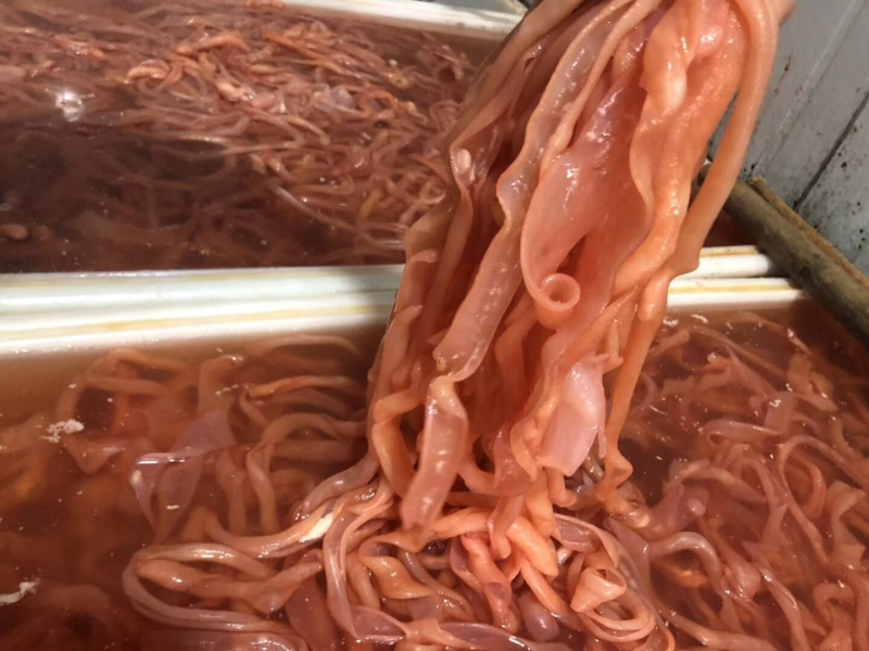 鸭肠/水发鸭肠/免洗鸭肠/厂家直发/常年供应/招代理商