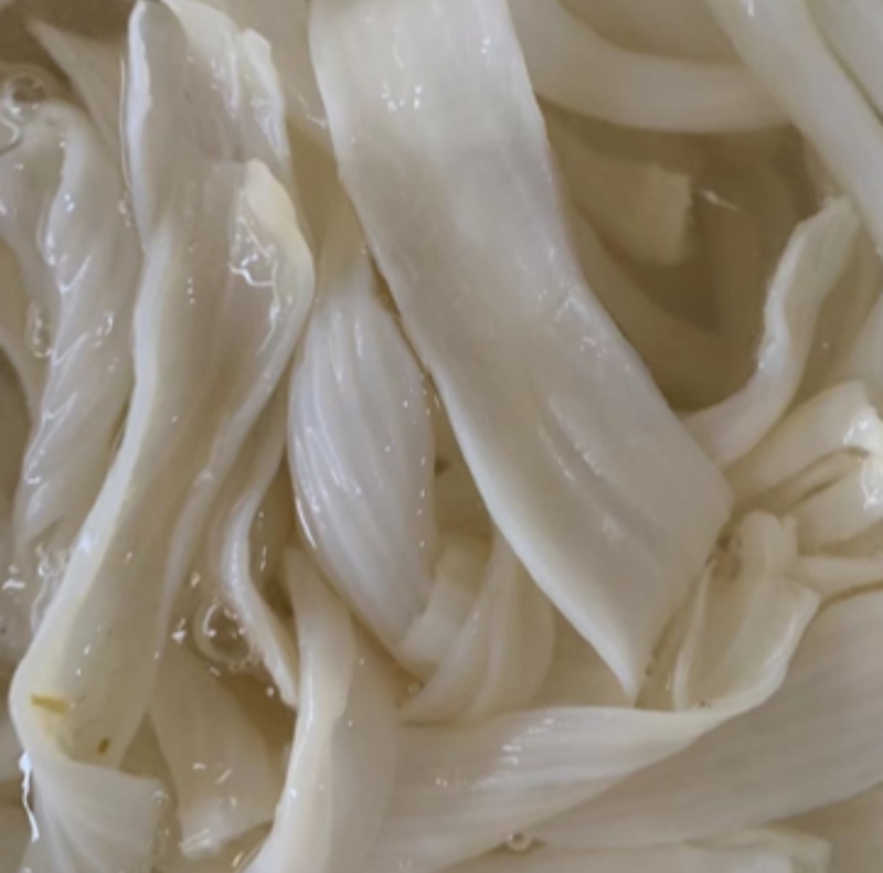 《菌把》食带/鸭食带~厂家常年供应/货源充足/全国发货