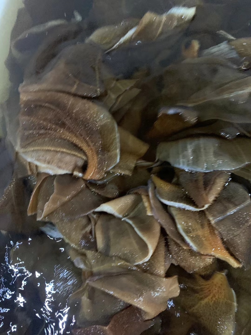 《本色小叶》牛毛肚小叶片/常年批发/质量保证/可全国发货
