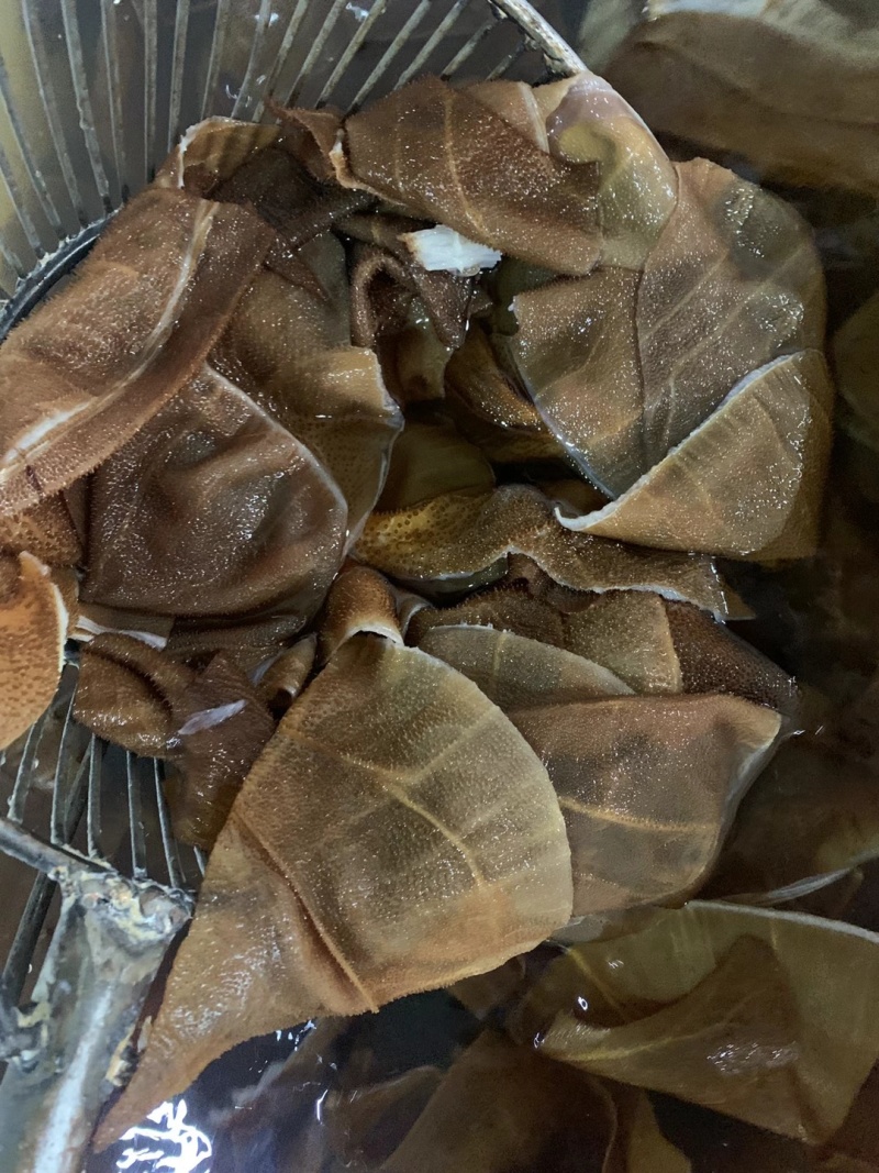 《本色小叶》牛毛肚小叶片/常年批发/质量保证/可全国发货