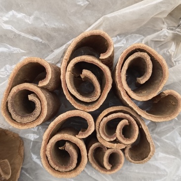 老树桂皮，紫油桂，