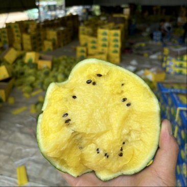 【火热预售中】精品特小凤西瓜即将大量上市中
