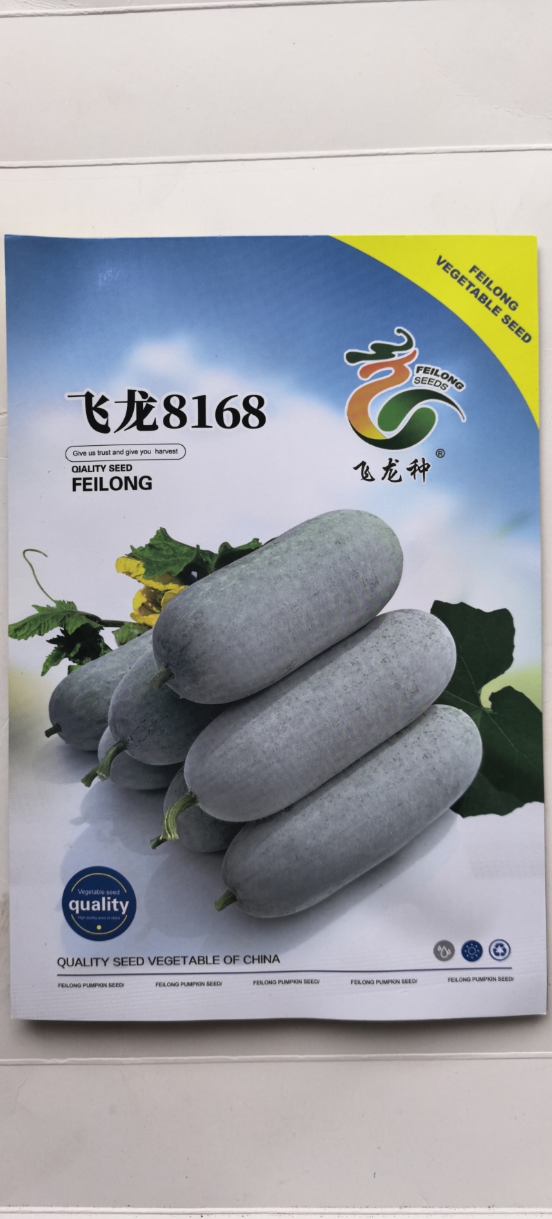 冬瓜种子飞龙8168白皮小冬瓜瓜形顺直整齐肉厚霜多
