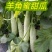 博洋羊角蜜甜瓜0.5斤以上山东莘县万亩甜瓜基地专业代办