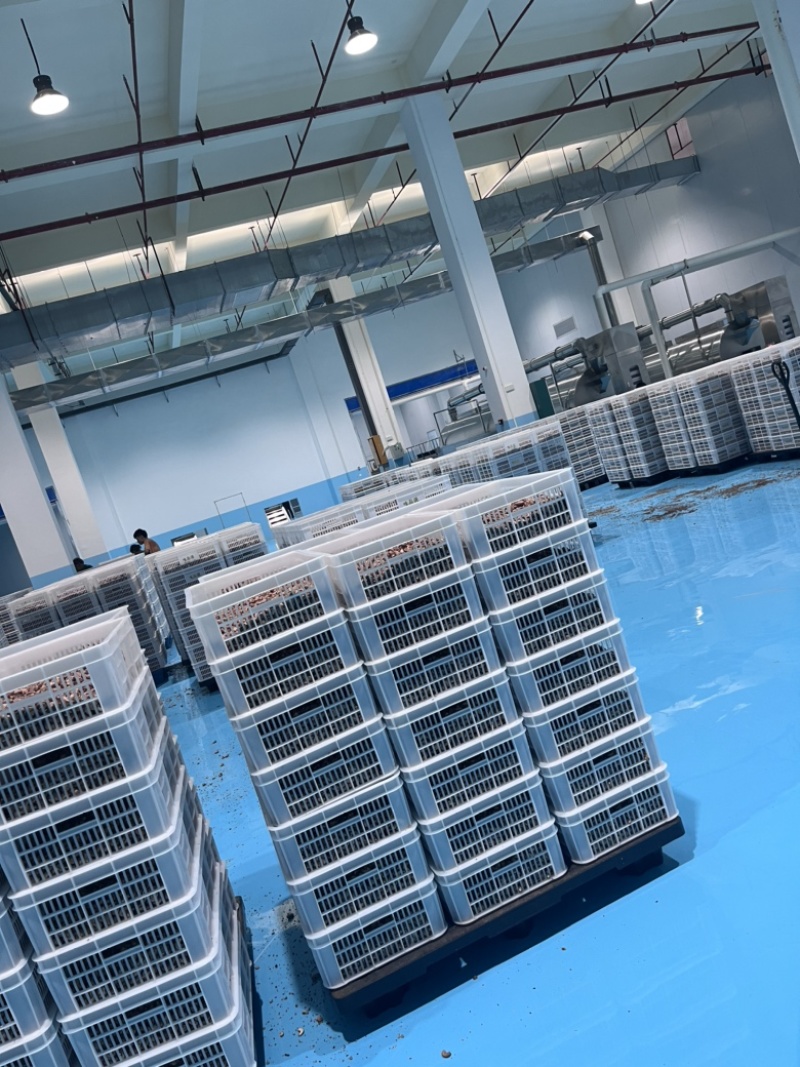 虎皮盐焗腰果源头工厂直销欢迎质询质量保证