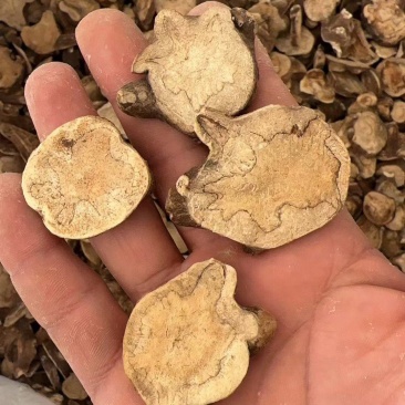 炮附片，汉中货，炮附片江油炮附子沙烫附子各种规格