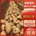 广西土豆大量上市直供商超平台外贸市场食堂淀粉薯