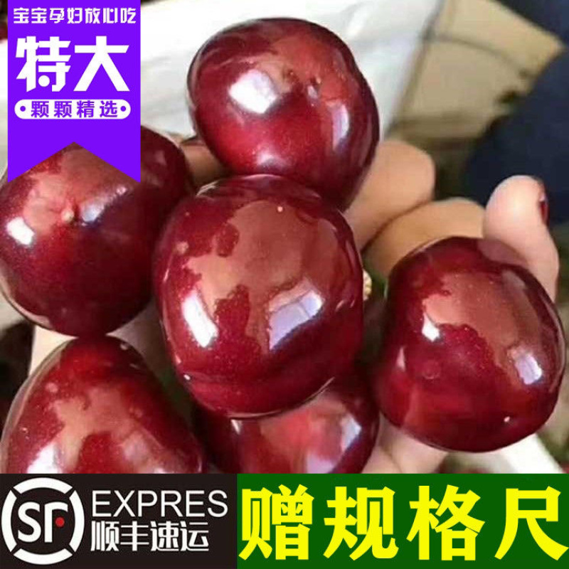 山东大樱桃，现摘现发一件代发，电商抖音（视频号）