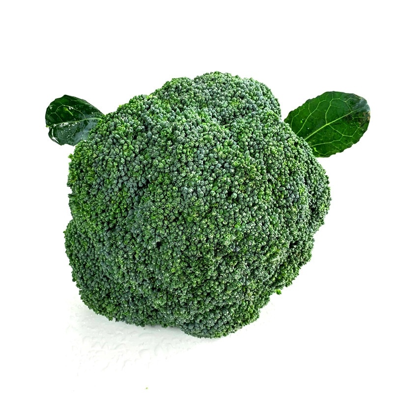 新鲜西蓝花，量大从优，山东发货
