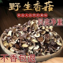 香菇干货椴木香信野生香菇香味浓郁高山农家土特产