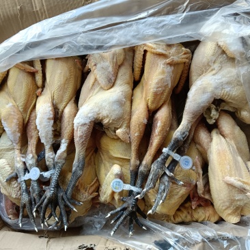 低价出售一级麻母冻品1.9-2.5斤的，需要的老板来聊