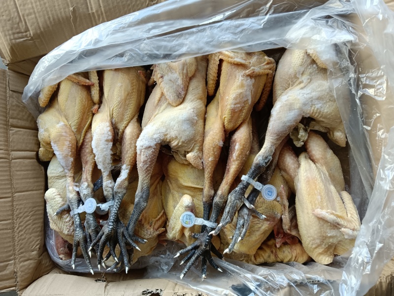 低价出售一级麻母冻品1.9-2.5斤的，需要的老板来聊