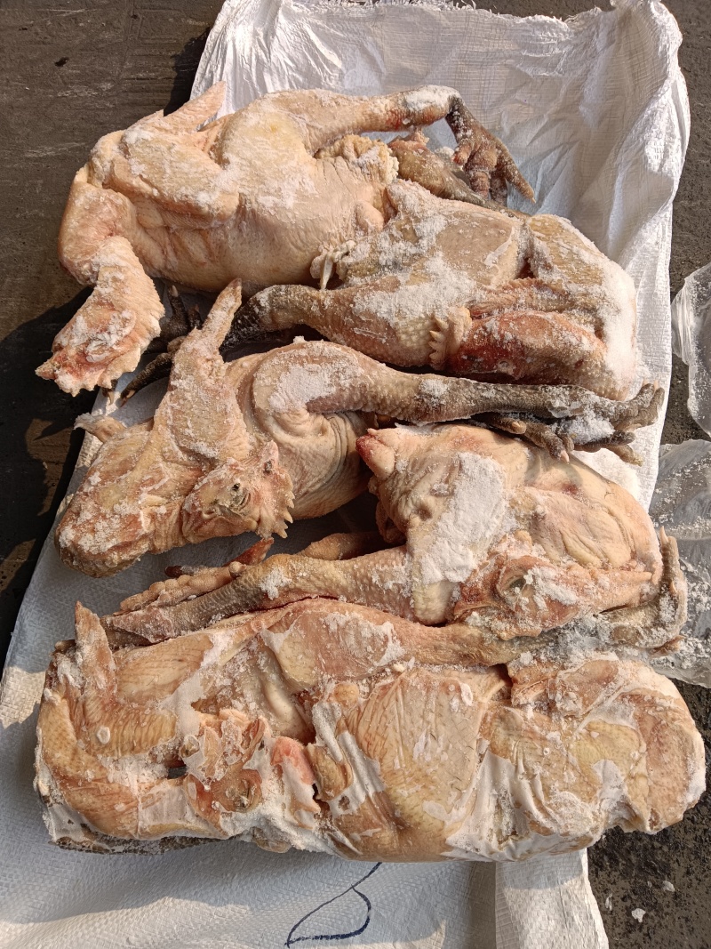 出售二级麻鸡，需要的老板来聊10公斤一件袋装，