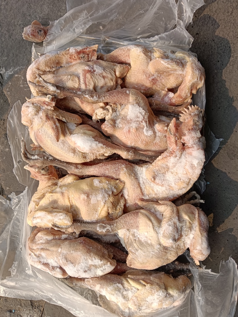 出售二级麻鸡，需要的老板来聊10公斤一件袋装，