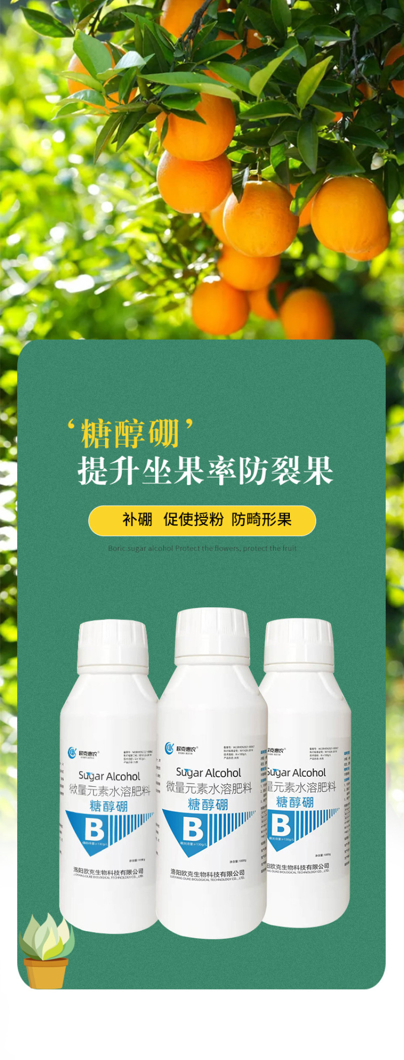 流体硼肥聚合硼微量元素糖醇硼快速补硼促花保果防裂果