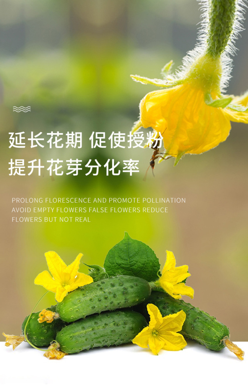 流体硼肥聚合硼微量元素糖醇硼快速补硼促花保果防裂果