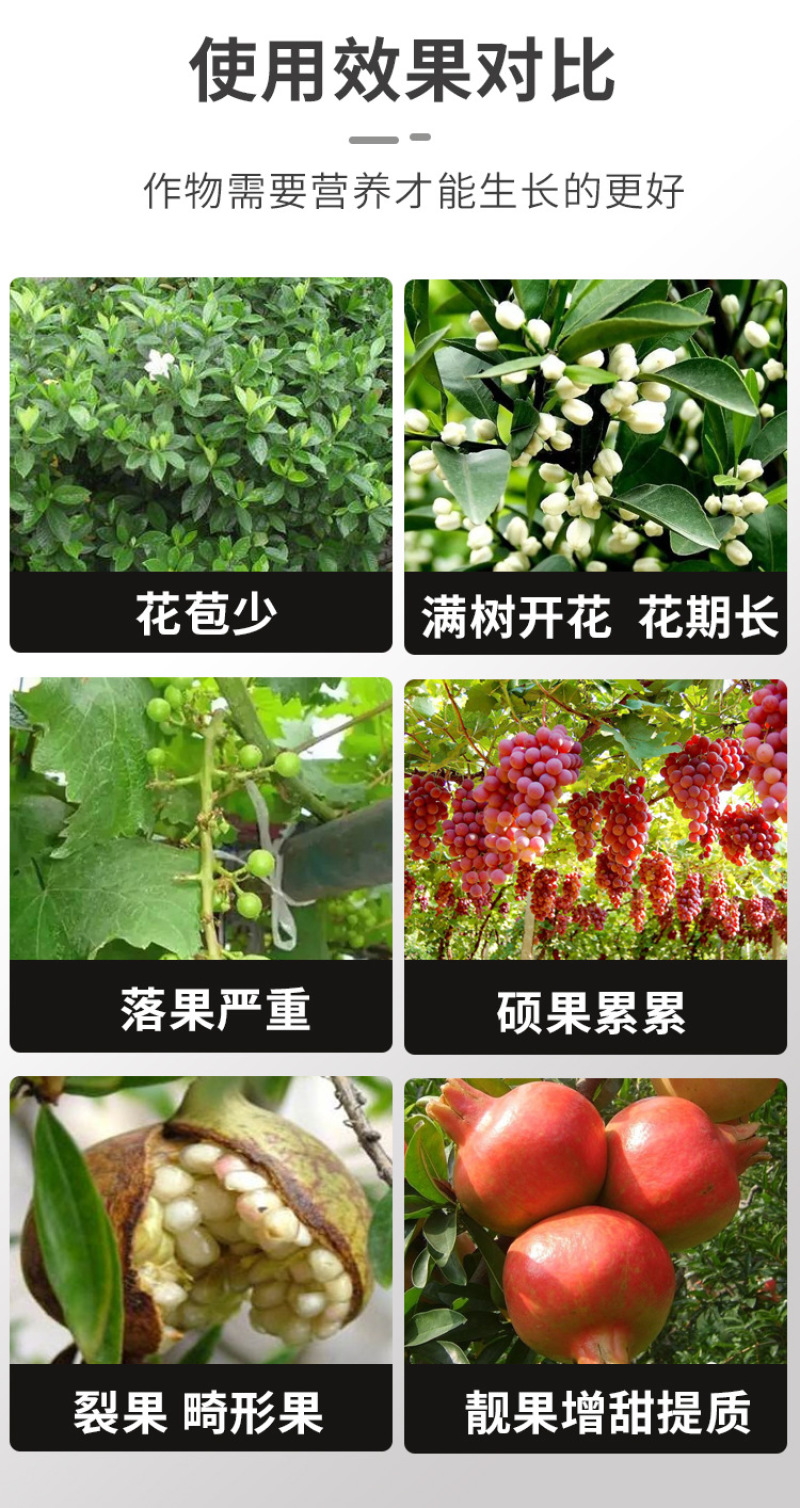 流体硼肥聚合硼微量元素糖醇硼快速补硼促花保果防裂果