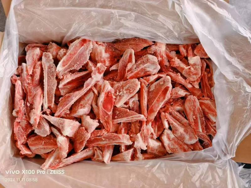 多肉扇骨条