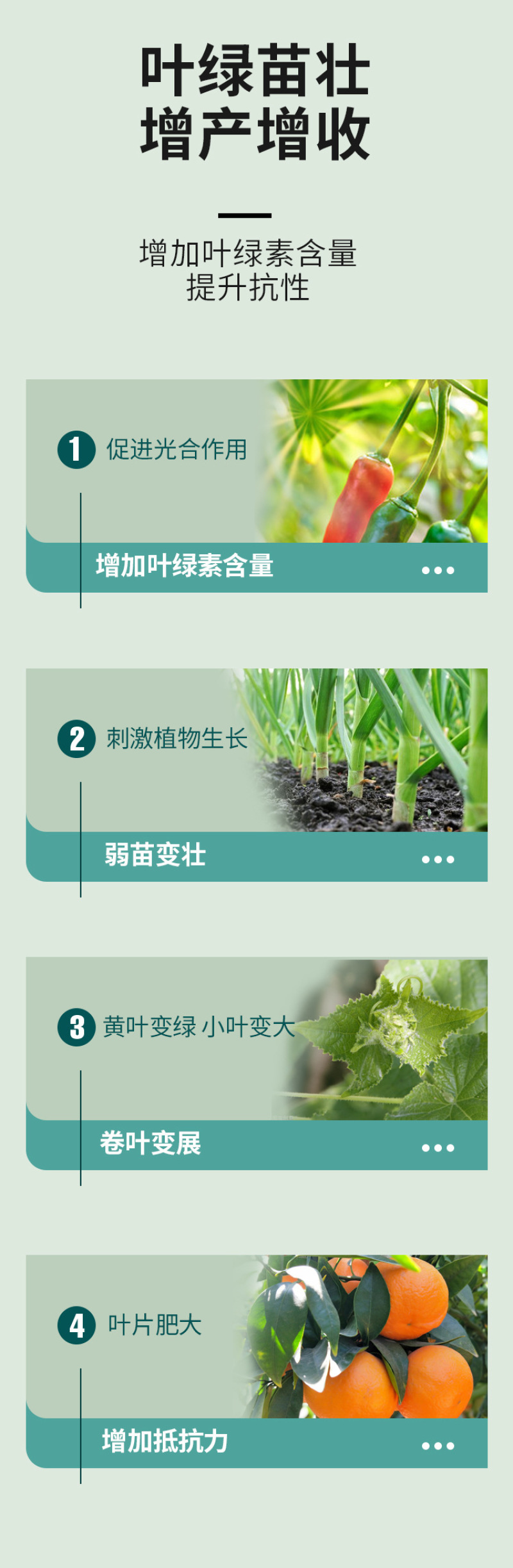 含氨基酸肥速绿叶面肥改善黄叶快速变绿缓解药害