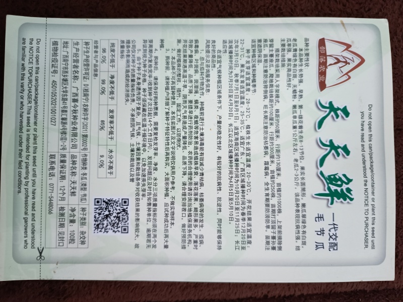 【天天鲜节瓜】早熟耐热绿皮绿肉心腔小瓜型匀称产量佳