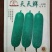 【天天鲜节瓜】早熟耐热绿皮绿肉心腔小瓜型匀称产量佳
