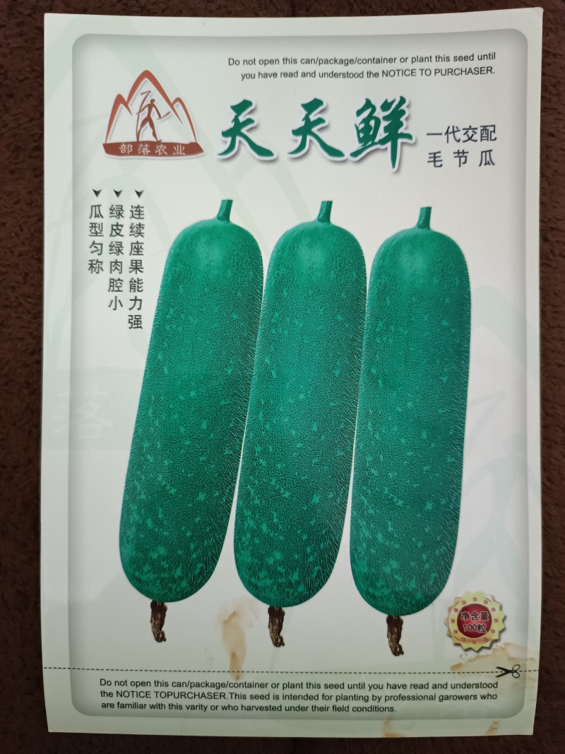 【天天鲜节瓜】早熟耐热绿皮绿肉心腔小瓜型匀称产量佳