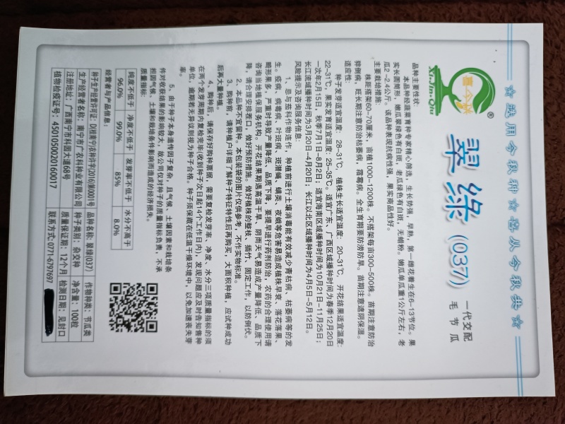 翠绿（037）节瓜早熟连座强丰产商品性好抗病性强