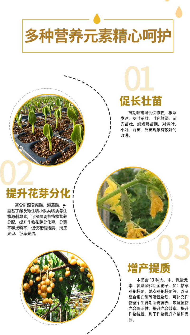 碳酶13元素腐殖酸氨基酸海藻酸全营养叶面肥抗病抗逆易吸收