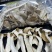 【热卖中】松茸干片云南本地大量有货一手货源
