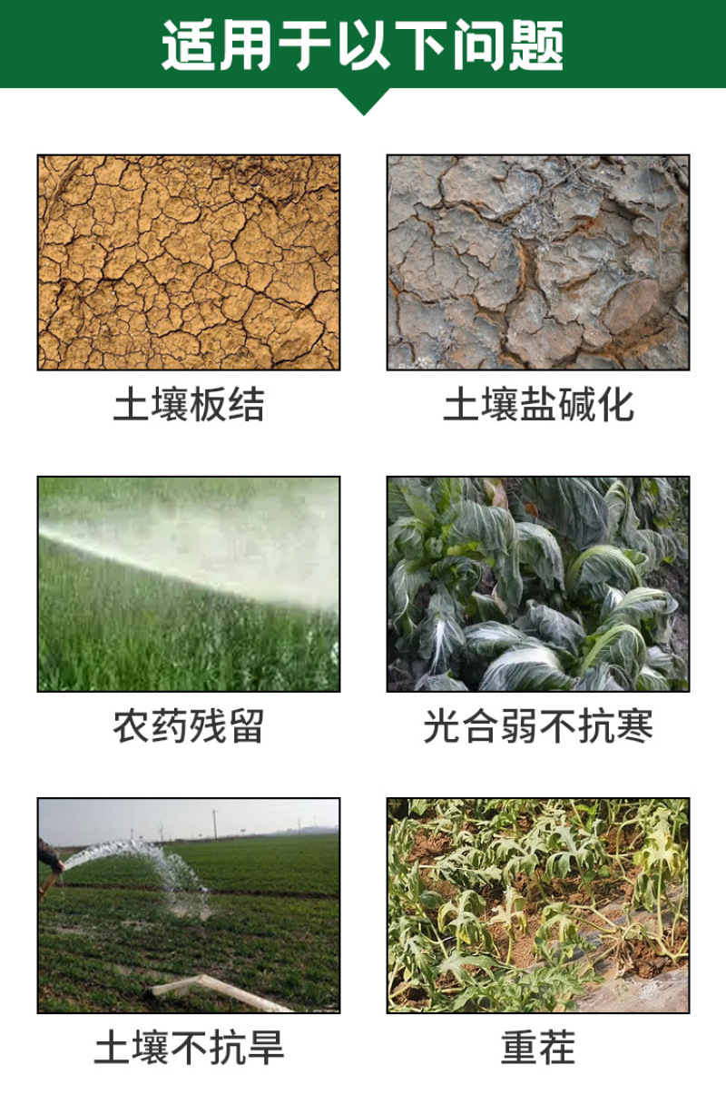 土壤改良剂微生物菌剂改善土壤板结防治根腐烂根